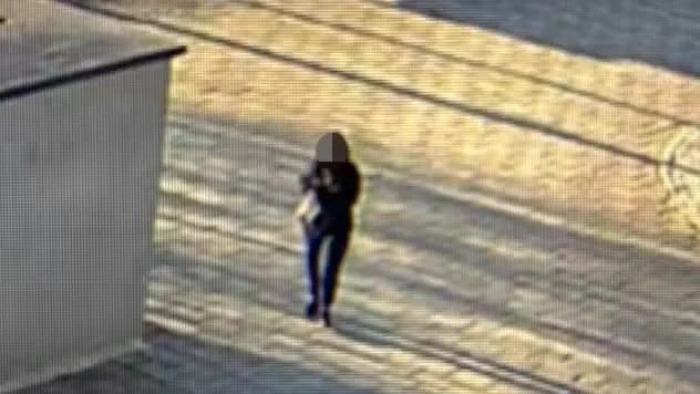 瑞典首次出现未成年女性杀手案例：一名15岁女孩因涉嫌在过去48小时内分别在斯德哥尔摩和马尔默枪杀两名15岁男孩而被捕