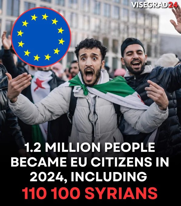 根据欧盟统计局最新数据，2024年共有120万人在欧盟获得公民身份